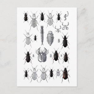 Truppe von alien postcard