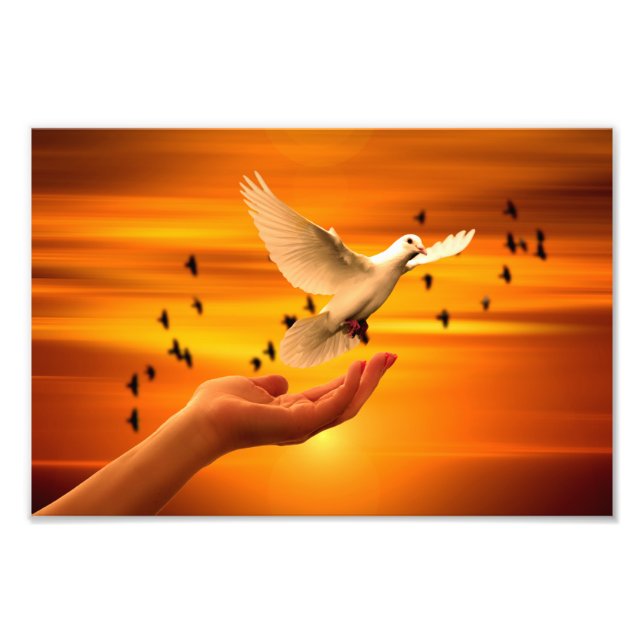 Trust God with Dove in Hand Photo Print (Front)