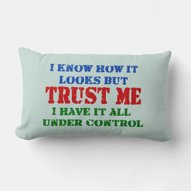 Trust Me -- All Under Control Lumbar Pillow (Front)