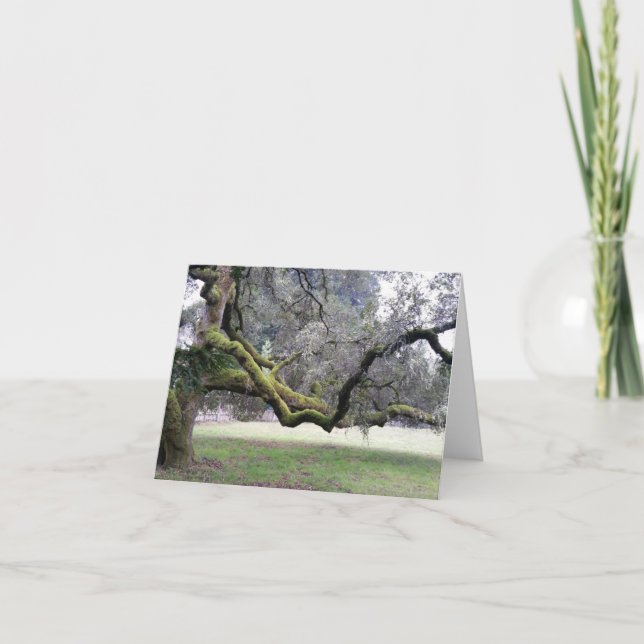 Trusted tree with strong branches outstretched thank you card (Front)