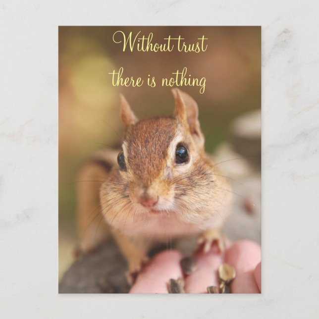 Trusting Chipmunk Postcard (Front)