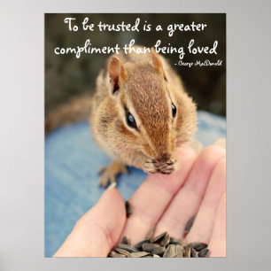Trusting Chipmunk Poster
