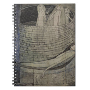 Truth Lies at the Bottom of the Well Notebook