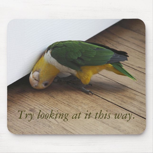 Try looking mouse pad (Front)