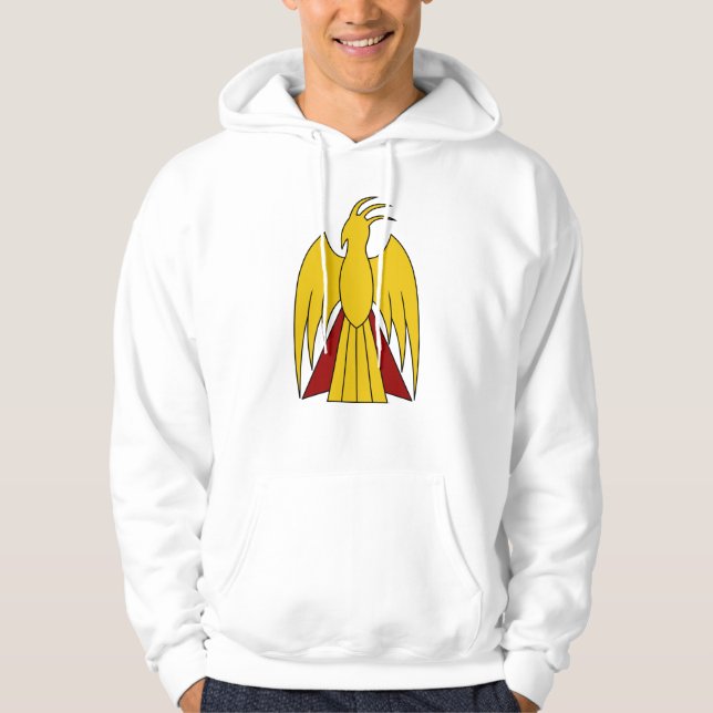 TSDS Arisdale  Hoodie (Front)