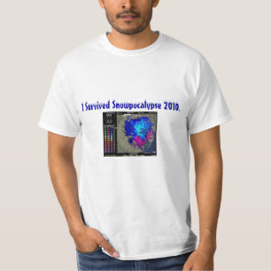 tshirt, I Survived Snowpocalypse 2010. T-Shirt