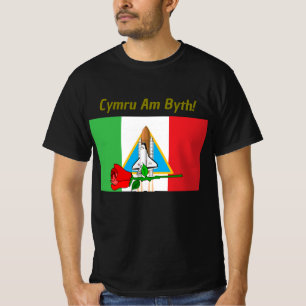 tshirt of the welsh flag