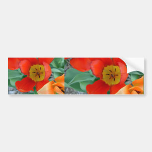 tt sing flowers of linda's on 16th st 027,... bumper sticker