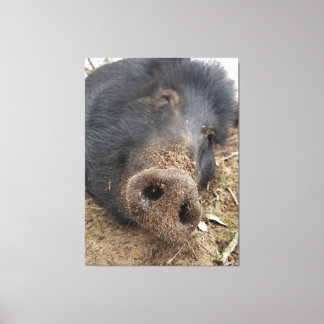 T'tig Canvas Print
