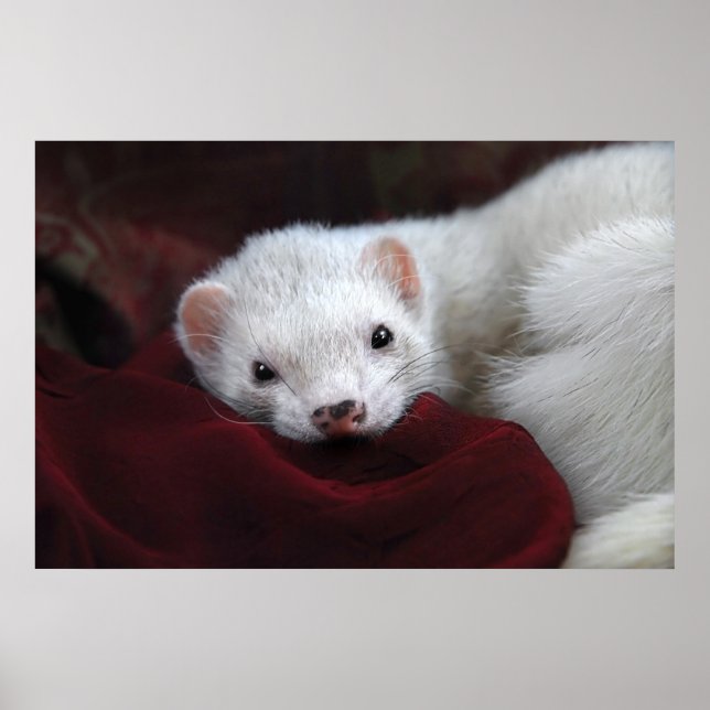 Tu chantais si bien... poster (Front)