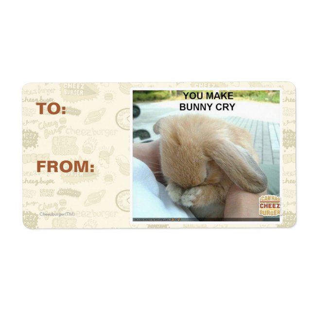 Tu fais pleurer le lapin (Devant)