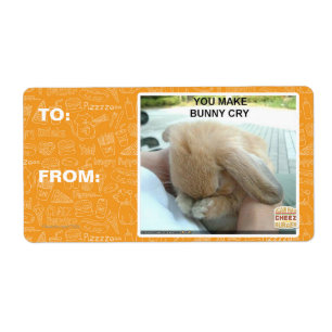 Tu fais pleurer le lapin