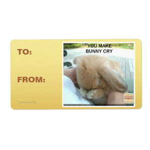Tu fais pleurer le lapin