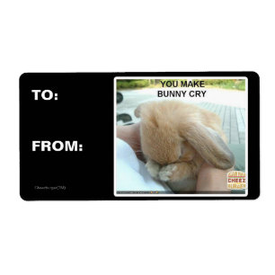 Tu fais pleurer le lapin