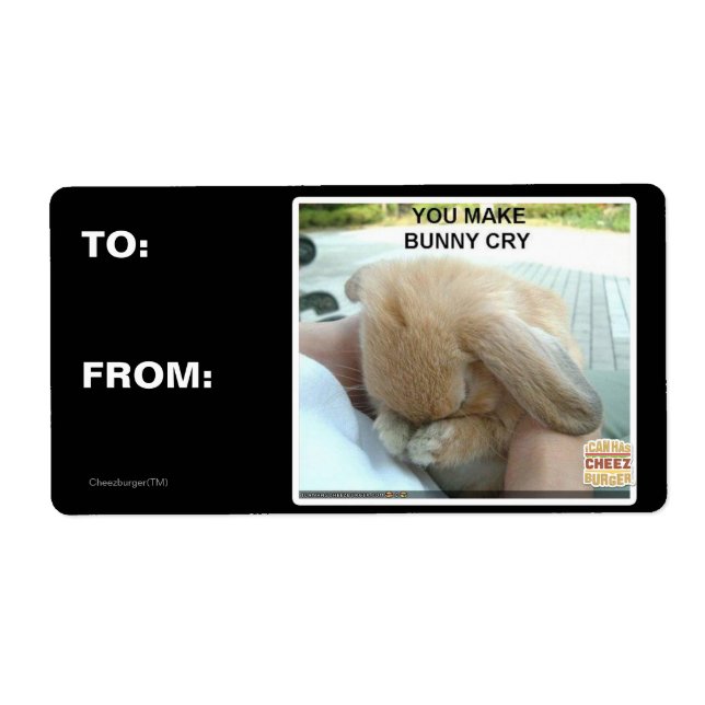 Tu fais pleurer le lapin (Devant)
