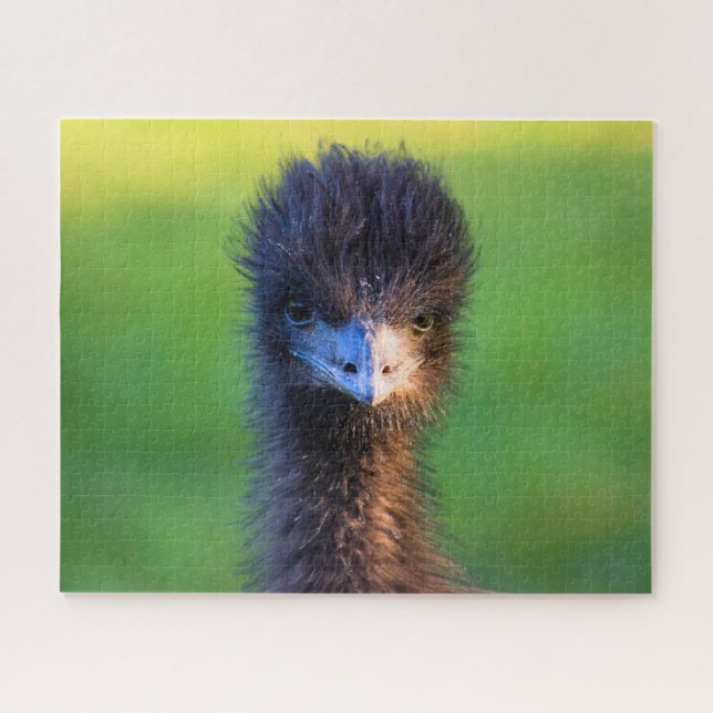 Tu me cherches ? - Puzzle Emu Jigsaw - 16x20 (Horizontal)