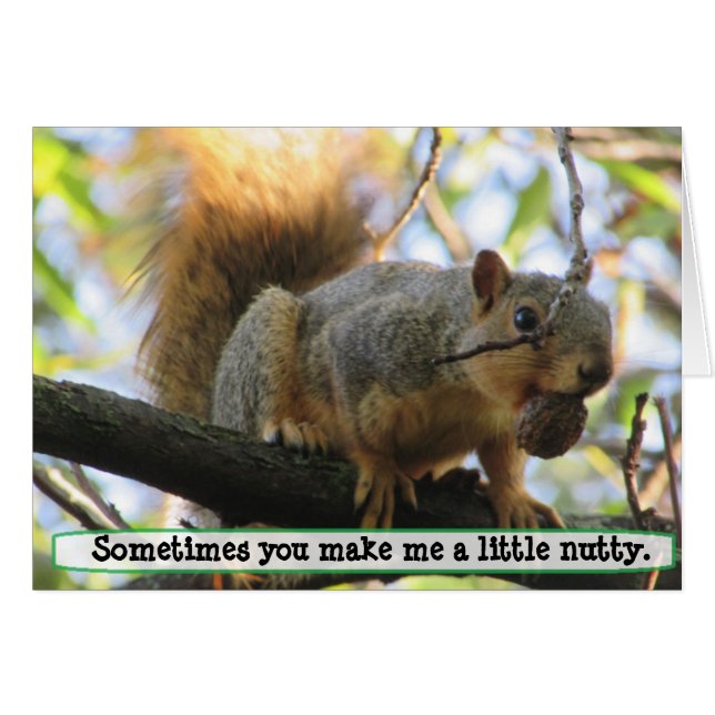 Tu me fais Nutty, Squirrel Humour Card (Devant horizontal)