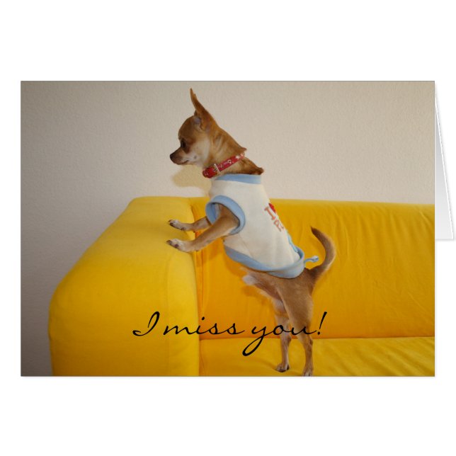 Tu Me Manques ! (Devant horizontal)