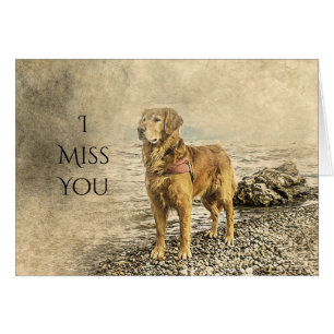 TU ME MANQUES TRISTE CHIEN