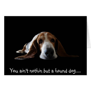 Tu n'es rien d'autre qu'un chien de chien