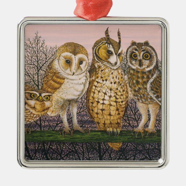 Tu-whit Tu-whooing Metal Ornament (Front)