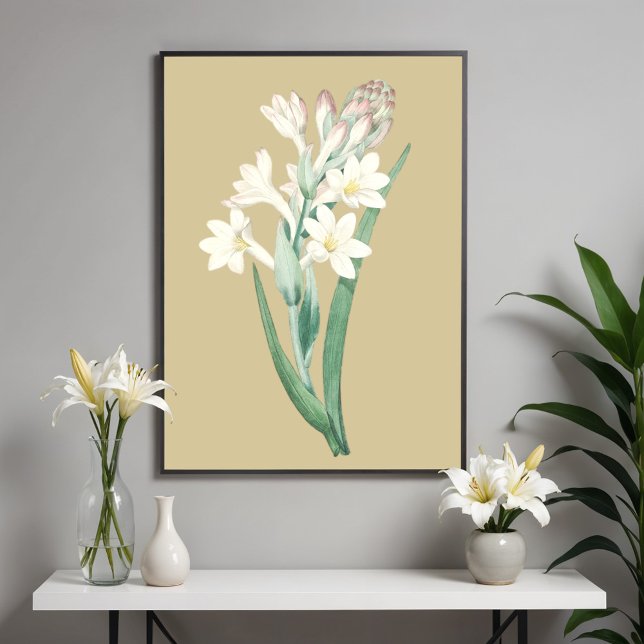 Tuberose, Vintage Flower Botanical Illustration  Poster (Creator Uploaded)
