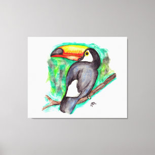 Tucan Canvas Print