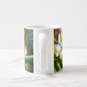 Tucano classical white cup