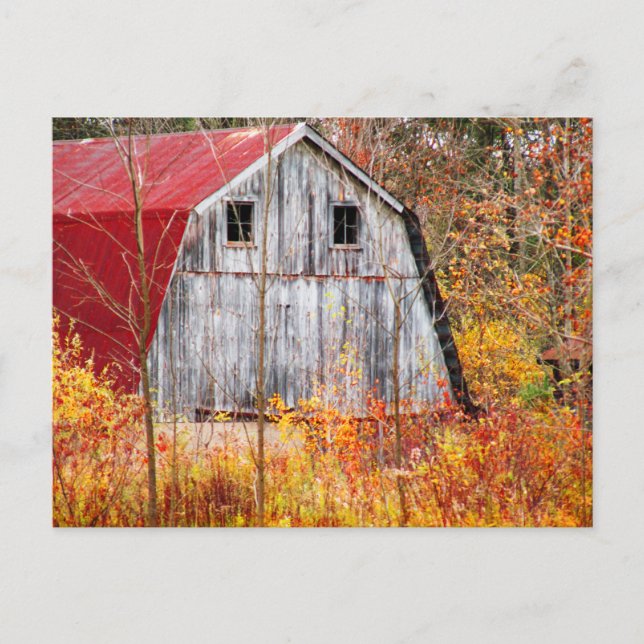 Tucked Away Postcard (Front)
