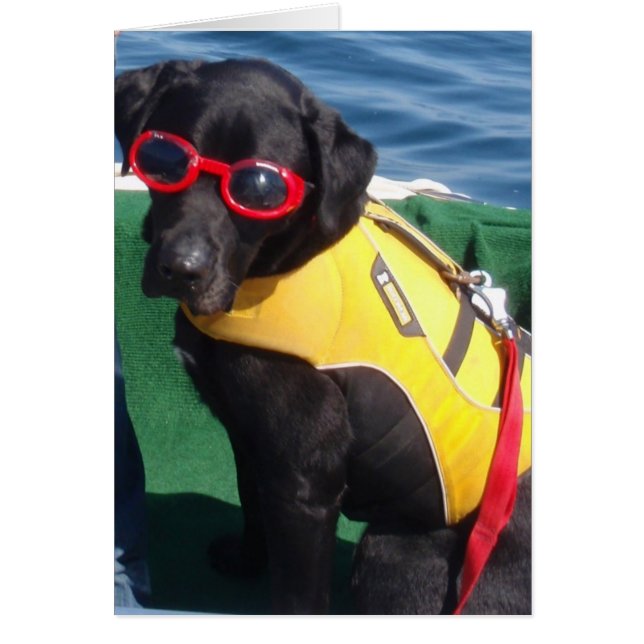 Tucker dans des canines Labrador de conservation (Devant)
