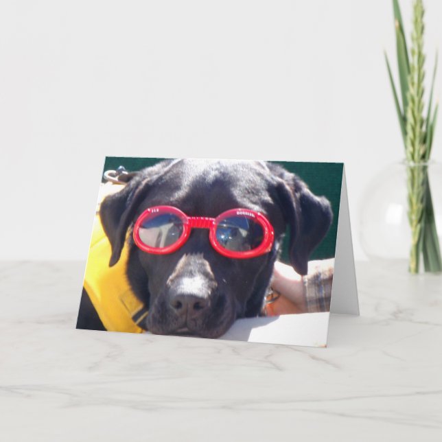 Tucker in Goggles Conservation Canines Labrador Card (Front)