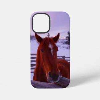 Tucker in the Snow iPhone 12 Mini Case