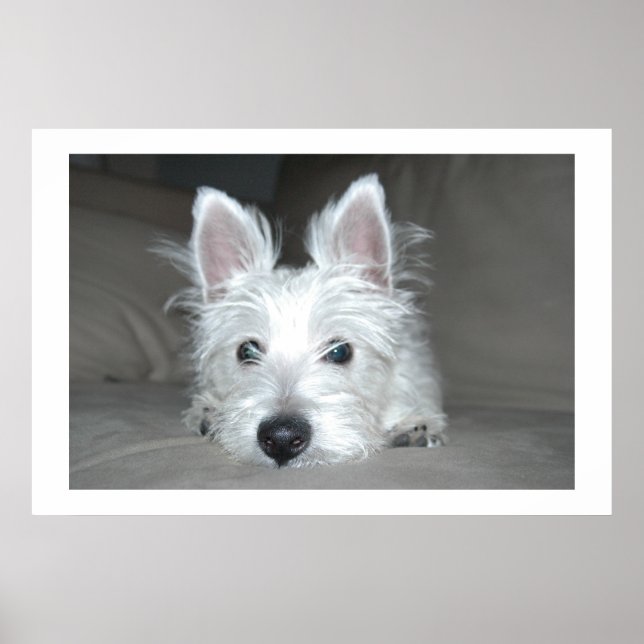 Tucker Poster (Front)