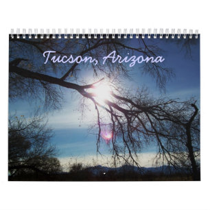 Tucson, Arizona 2010 calendar