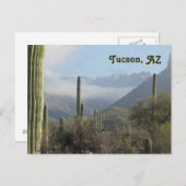 Tucson Arizona Desert Postcard (Front/Back)