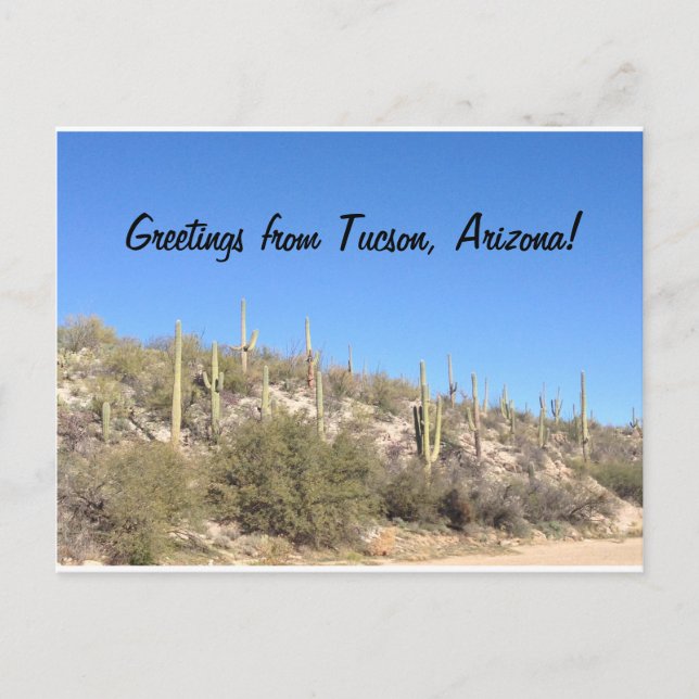Tucson Arizona Desert Southwest Saguaro Postcard (Front)