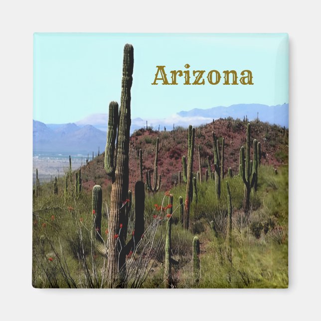 Tucson Arizona Magnet (Front)