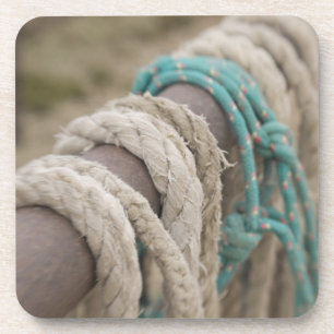 Tucson, Arizona: Ropes and hanrnesses used  on Coaster