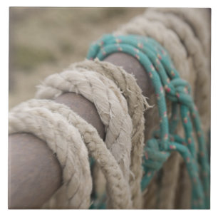 Tucson, Arizona: Ropes and hanrnesses used  on Tile