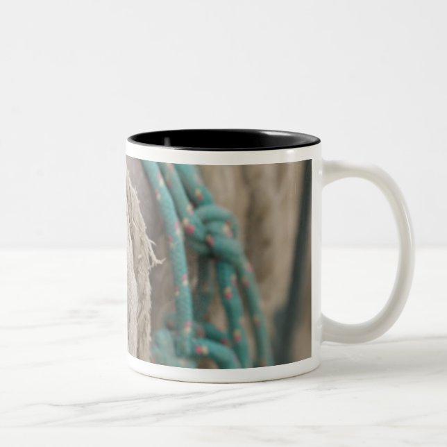 Tucson, Arizona: Ropes and hanrnesses used  on Two-Tone Coffee Mug (Right)