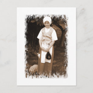 Tudor Rose   Postcard