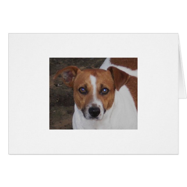 Tueur d'A.H. Airheart, de Jack Russell, de souris (Devant horizontal)