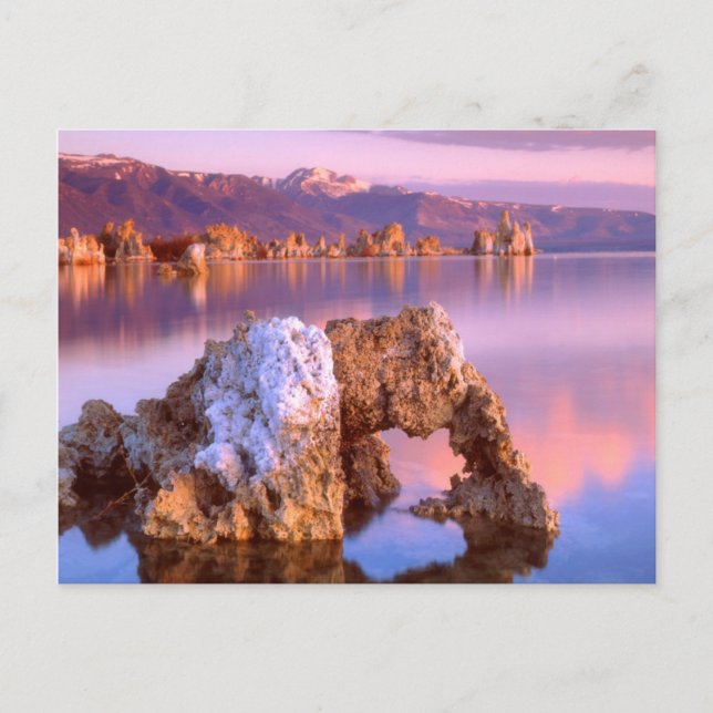 Tufa arch at Mono Lake Postcard (Front)