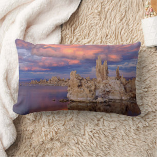 Tufa Formations on Mono Lake Lumbar Pillow