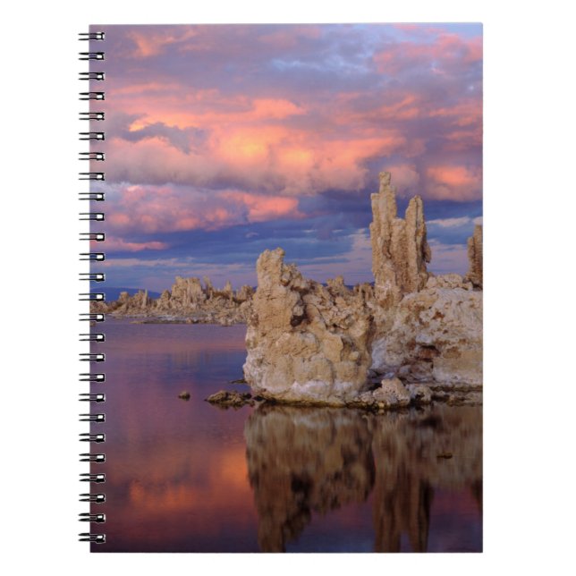 Tufa Formations on Mono Lake Notebook (Front)