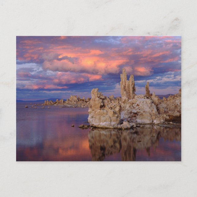 Tufa Formations on Mono Lake Postcard (Front)