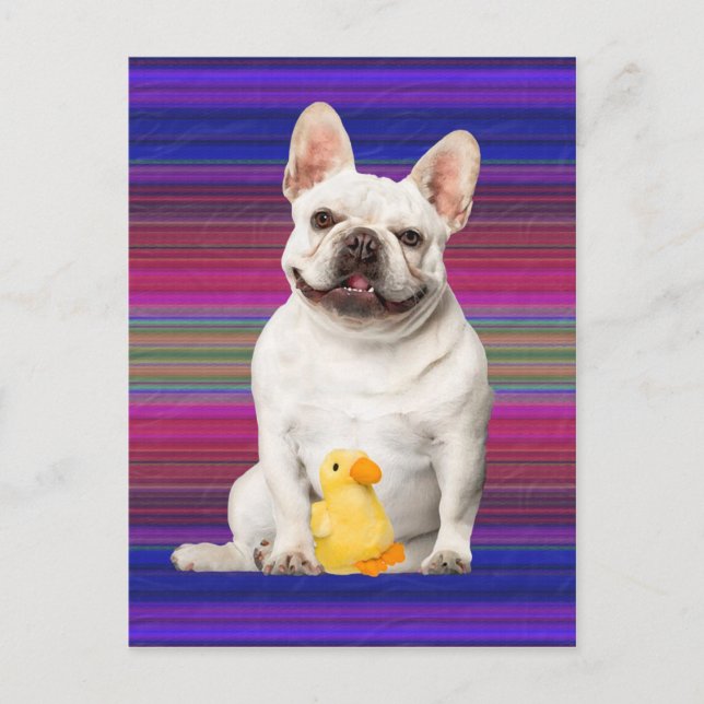 "Tuffy McTuggs" Postcard (Front)