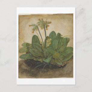Tuft of Cowslips by Albrecht Durer Postcard