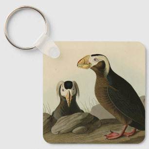 Tufted Auk (Puffin) - Audubon's Birds of America Keychain