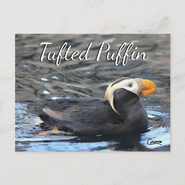 Tufted Puffin - Postcard (Front)